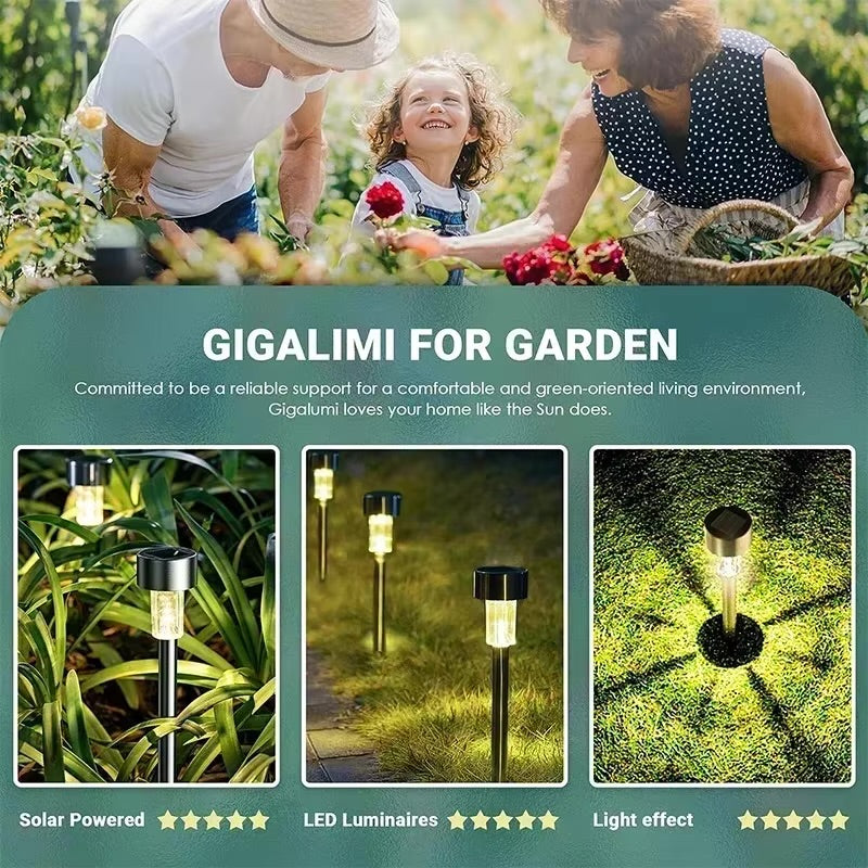 Solar Garden Stake Lights – 10 Pack | Warm White LED Pathway Lights
